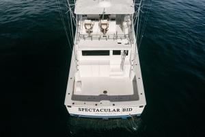 SPECTACULAR BID 56ft Viking Yacht For Sale