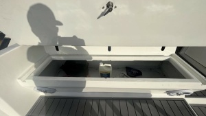 Lady Dianna 46ft Bertram Yacht For Sale
