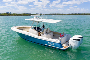 Re Powered 29ft Chris Craft Yacht For Sale