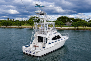 VET BILLZ 39ft Bertram Yacht For Sale