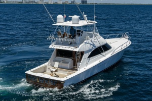 Viking 54 - Dog House - Profile