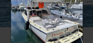 Double Diamond 31ft Bertram Yacht For Sale