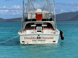 Double Diamond 31ft Bertram Yacht For Sale