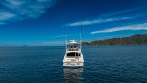 Game On 58ft Viking Yacht For Sale