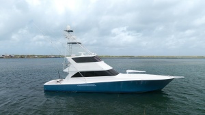 Port Side View of Viking 65