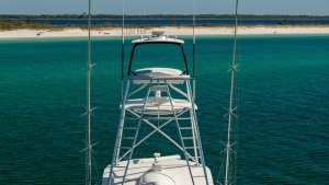 Flybridge with Tower View