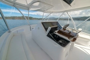 2025 Viking 58 Convertible thumbnail 37