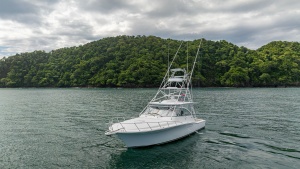 Bow View with Tower