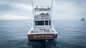 2000 Viking 55 Convertible thumbnail 30