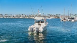 POLE POSITION 33ft Grady White Yacht For Sale