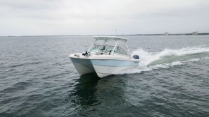 23ft World Cat Yacht For Sale
