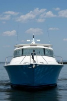 Viking 42 - Drop'Em - Profile