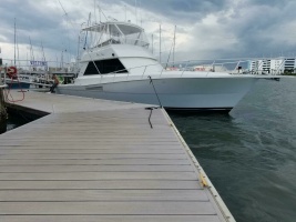 Wild Life 45ft Viking Yacht For Sale