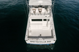 SPECTACULAR BID 56ft Viking Yacht For Sale