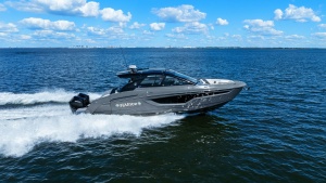 Side View Cruising at Speed