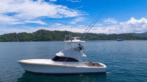 2023 Viking 46 Billfish thumbnail 56