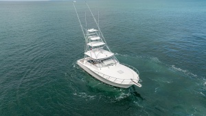 Aerial View of Bow and Flybridge