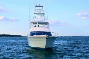 Photo 6226291 for 2001 Donzi 73 Sport Yacht  2001 Donzi 73' Sport Yacht (5)