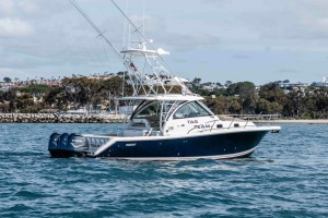 TAG TEAM 38ft Pursuit Yacht For Sale