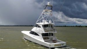 2017 72 Viking Enclosed Bridge Share-E Profiles (4)