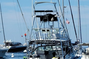Beer Money 32ft Topaz Yacht For Sale