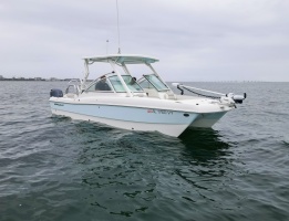 23ft World Cat Yacht For Sale