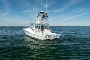 Salt Lick 41ft Albemarle Yacht For Sale