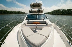 2018 Sea Ray L550 Flybridge thumbnail 33