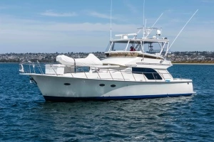 2019 Mikelson 50 Sportfisher thumbnail 54