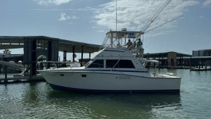 Cast Off II 38ft Bertram Yacht For Sale