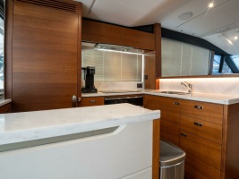 2020 Princess S66