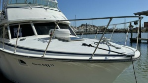 Cast Off II 38ft Bertram Yacht For Sale