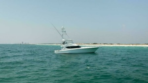 Fallline 60ft Hatteras Yacht For Sale