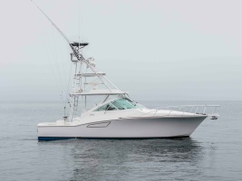 SHOW TIME 38ft Cabo Yacht For Sale