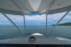 2023 Viking 46 Billfish thumbnail 47