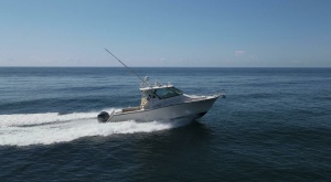 2016 Grady-White 370 Express thumbnail 29