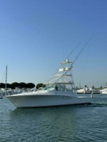 VAQUERO 40ft Cabo Yacht For Sale