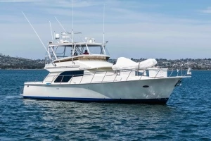 2019 Mikelson 50 Sportfisher thumbnail 59