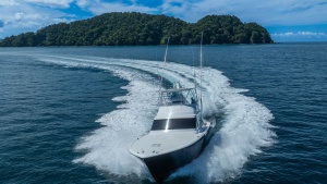 Viking 46 BF Aerial Bow View