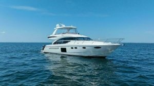 Princess Rose Too 60ft Princess Yacht For Sale