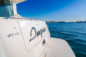 Impulse 40ft Sea Ray Yacht For Sale