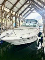 31' Sea Ray 1999