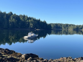 20ft Bertram Yacht For Sale