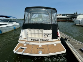 31ft Rinker Yacht For Sale
