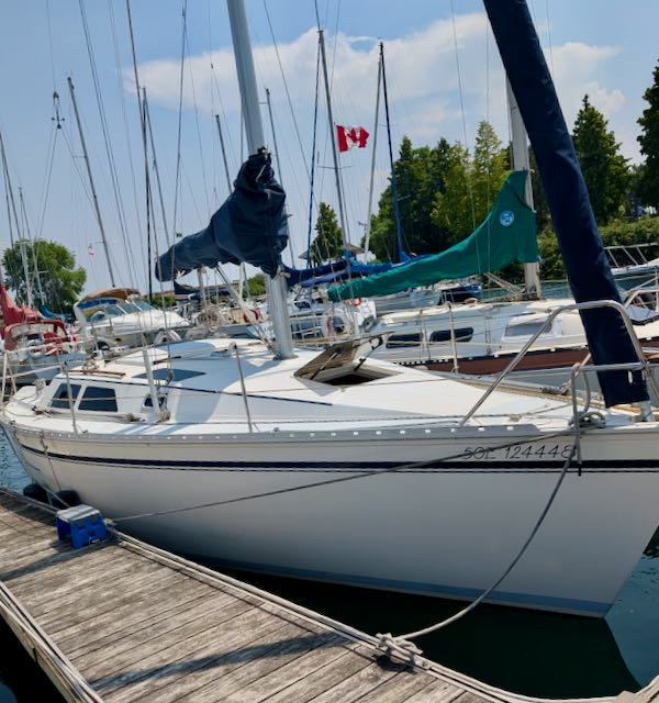 Wayward 30ft Hunter Yacht For Sale
